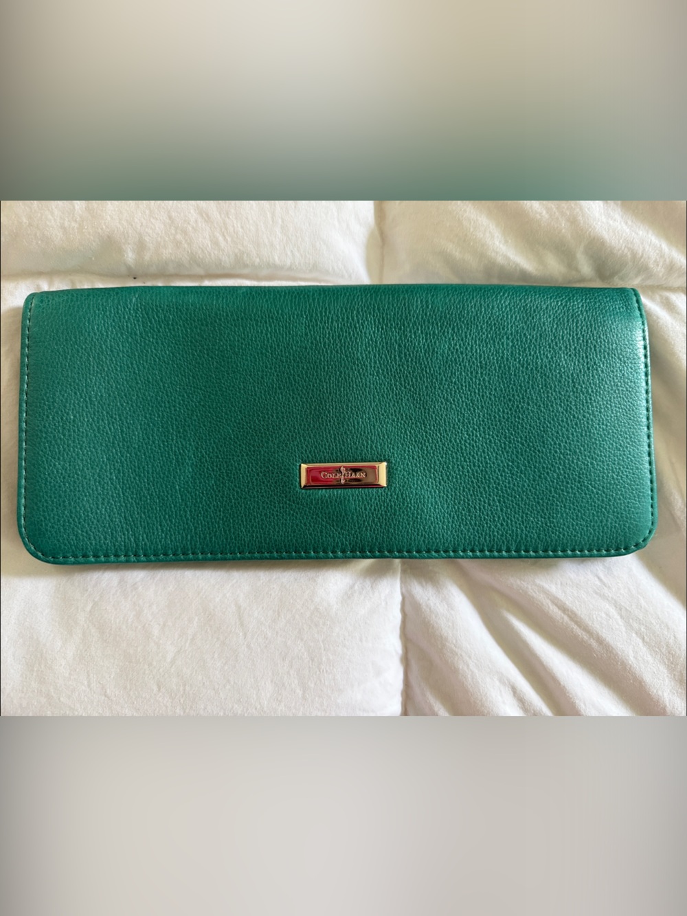 Cole Haan Teal Leather Zip Clutch with Gold Plaque